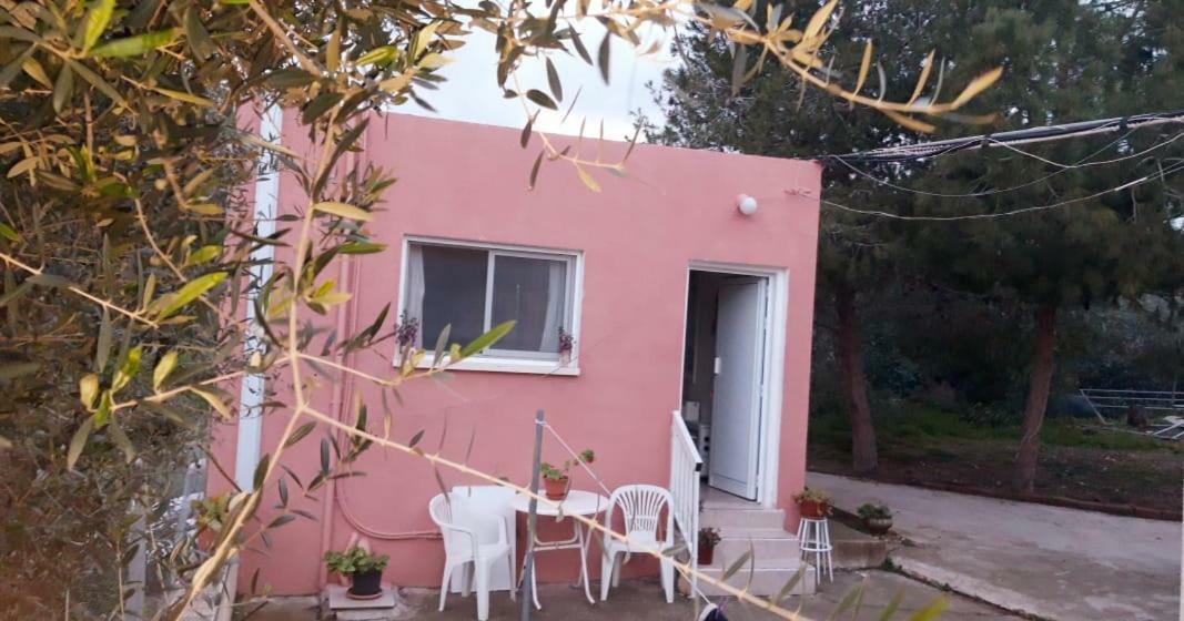 Detached Cozy Studio Paralimni Exterior photo